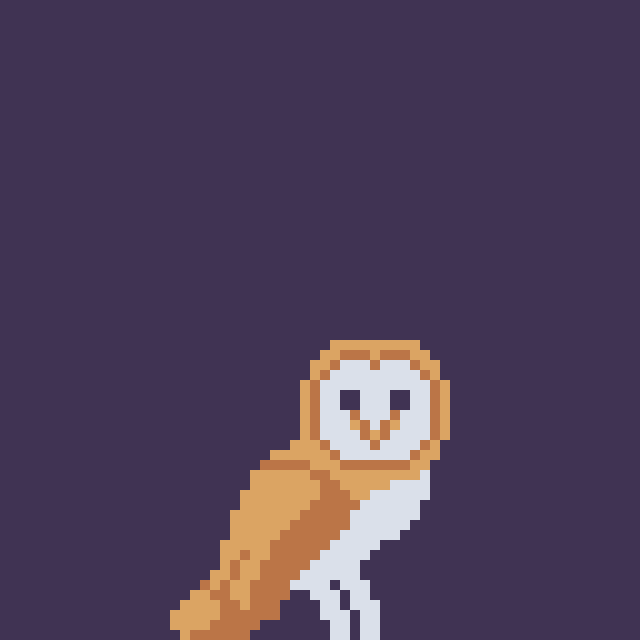 Barn owl (2-bit)