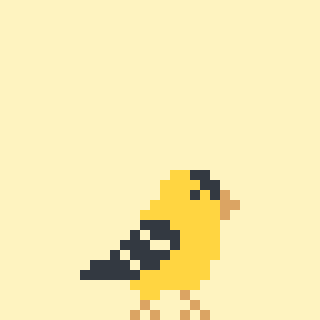 American goldfinch (2-bit)